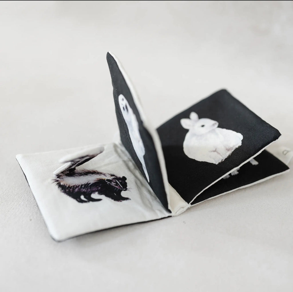 Black and White Crinkle book