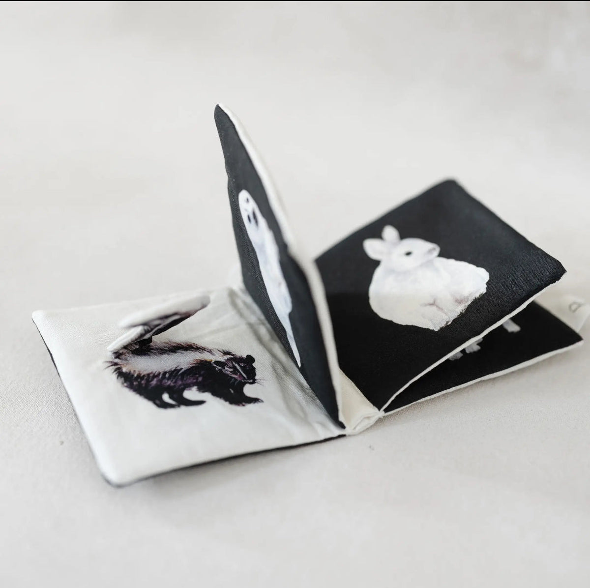Black and White Crinkle book