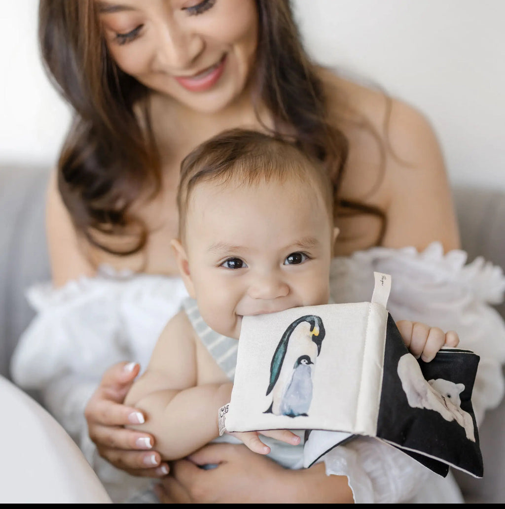 Black and White Crinkle book