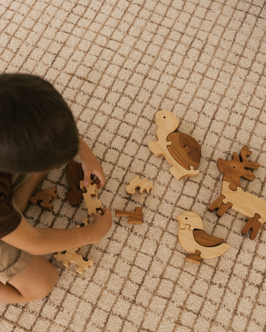 Wooden Animal Puzzles